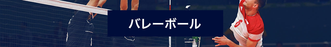 バレーボールにベット!