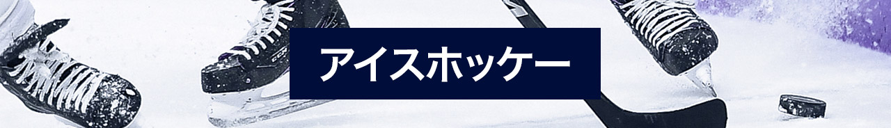 アイスホッケーにベット!